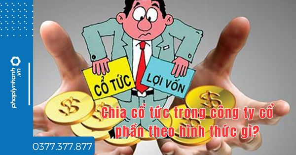 Chia cổ tức trong công ty cổ phần theo hình thức gì? 1 Chia cổ tức trong công ty cổ phần theo hình thức gì - tư vấn hỗ trợ pháp lý nhanh