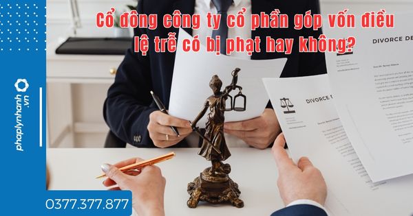 Cổ đông công ty cổ phần góp vốn điều lệ trễ có bị phạt hay không? 1 Cổ đông công ty cổ phần góp vốn điều lệ trễ có bị phạt hay không - tư vấn hỗ trợ pháp lý nhanh