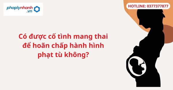 Có được cố tình mang thai để hoãn chấp hành hình phạt tù không? 1 Có được cố tình mang thai để hoãn chấp hành hình phạt tù không?