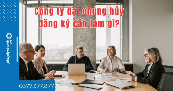 Công ty đại chúng hủy đăng ký cần làm gì - tư vấn hỗ trợ pháp lý nhanh