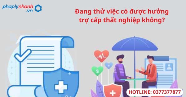 Đang thử việc có được hưởng trợ cấp thất nghiệp không? 1 Đang thử việc có được hưởng trợ cấp thất nghiệp không?
