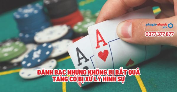 Đánh bạc nhưng không bị bắt quả tang có bị xử lý hình sự - Tư vấn, hỗ trợ pháp lý nhanh