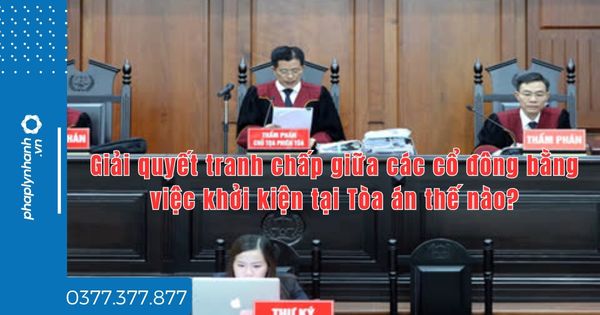 Giải quyết tranh chấp giữa các cổ đông bằng việc khởi kiện tại Tòa án thế nào? 1 Giải quyết tranh chấp giữa các cổ đông bằng việc khởi kiện tại Tòa án thế nào - tư vấn hỗ trợ pháp lý nhanh