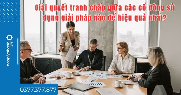 Giải quyết tranh chấp giữa các cổ đông sử dụng giải pháp nào để hiệu quả nhất? 1 Giải quyết tranh chấp giữa các cổ đông sử dụng giải pháp nào để hiệu quả nhất - tư vấn hỗ trợ pháp lý nhanh