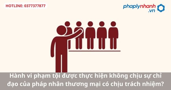 Hành vi phạm tội được thực hiện không chịu sự chỉ đạo của pháp nhân thương mại có chịu trách nhiệm-hỗ trợ tư vấn pháp lý
