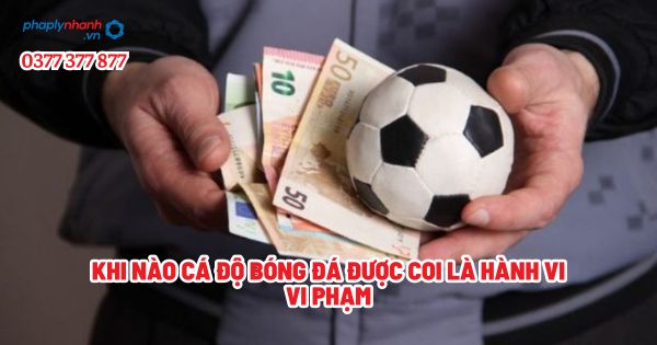 Khi nào cá độ bóng đá được coi là hành vi vi phạm? 1 Khi nào cá độ bóng đá được coi là hành vi vi phạm - Tư vấn, hỗ trợ pháp lý nhanh