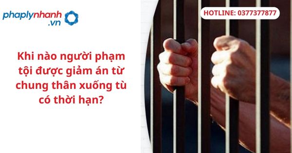 Khi nào người phạm tội được giảm án từ chung thân xuống tù có thời hạn? 1 Khi nào người phạm tội được giảm án từ chung thân xuống tù có thời hạn?