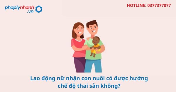 Lao động nữ nhận con nuôi có được hưởng chế độ thai sản không? 1 Lao động nữ nhận con nuôi có được hưởng chế độ thai sản không-hỗ trợ tư vấn pháp lý