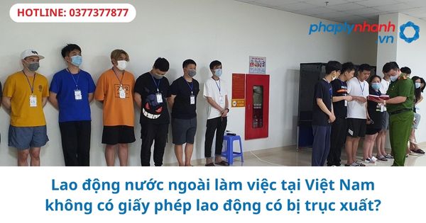 Lao động nước ngoài làm việc tại Việt Nam không có giấy phép lao động có bị trục xuất?