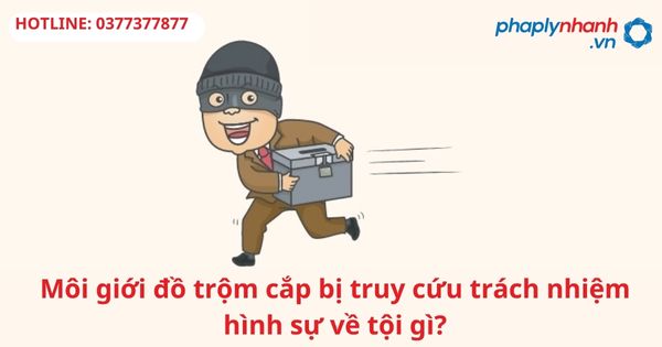 Môi giới đồ trộm cắp bị truy cứu trách nhiệm hình sự về tội gì? 1 Môi giới đồ trộm cắp bị truy cứu trách nhiệm hình sự về tội gì?