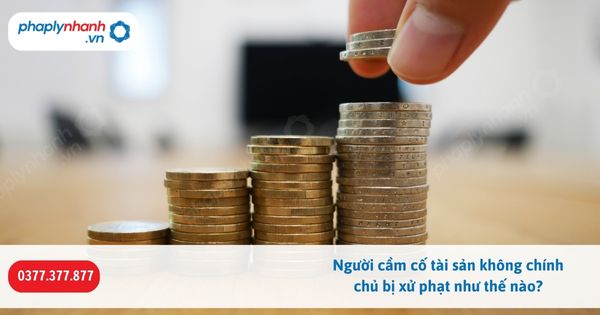 Người cầm cố tài sản không chính chủ bị xử phạt như thế nào-Hỗ trợ, tư vấn pháp lý nhanh