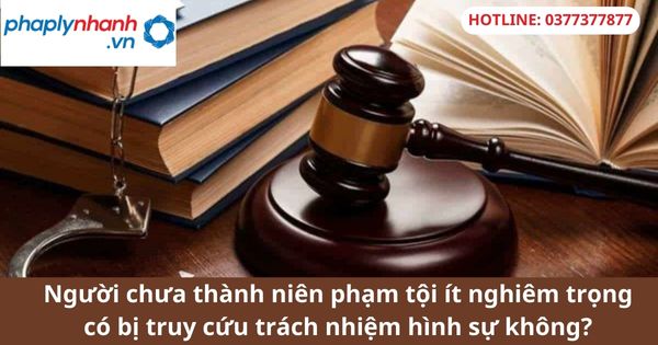Người chưa thành niên phạm tội ít nghiêm trọng có bị truy cứu trách nhiệm hình sự không? 1 Người chưa thành niên phạm tội ít nghiêm trọng có bị truy cứu trách nhiệm hình sự không?
