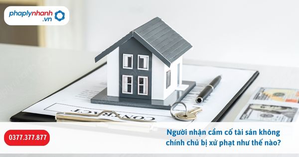Người nhận cầm cố tài sản không chính chủ bị xử phạt như thế nào? 1 Người nhận cầm cố tài sản không chính chủ bị xử phạt như thế nào-Hỗ trợ, tư vấn pháp lý nhanh