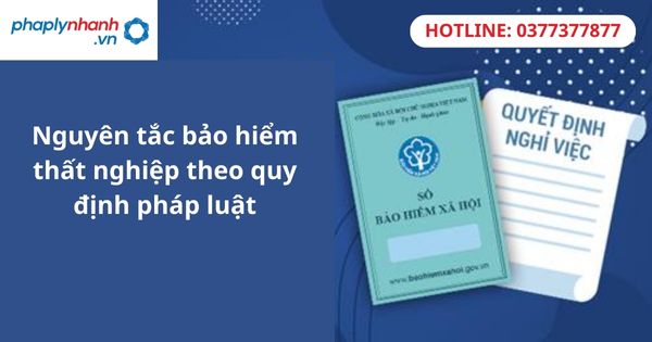 Nguyên tắc của bảo hiểm thất nghiệp theo quy định pháp luật 1 Nguyên tắc của bảo hiểm thất nghiệp theo quy định pháp luật
