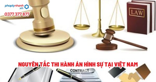 Nguyên tắc thi hành án hình sự tại Việt Nam? 1 Nguyên tắc thi hành án hình sự tại Việt Nam - Tư vấn, hỗ trợ pháp lý nhanh