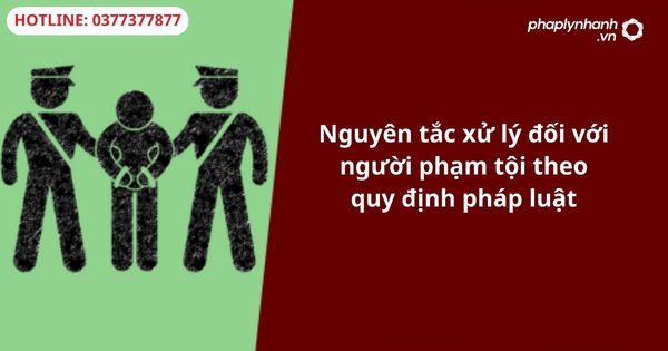Nguyên tắc xử lý đối với người phạm tội theo quy định pháp luật 1 Nguyên tắc xử lý đối với người phạm tội theo quy định pháp luật