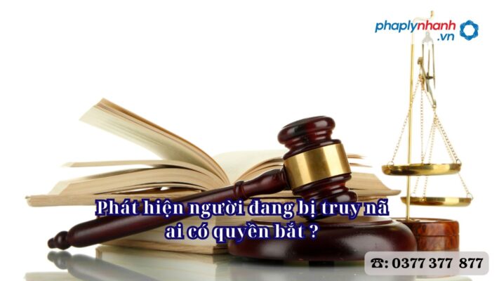 Phát hiện người đang bị truy nã ai có quyền bắt - Tư vấn, hỗ trợ pháp lý nhanh