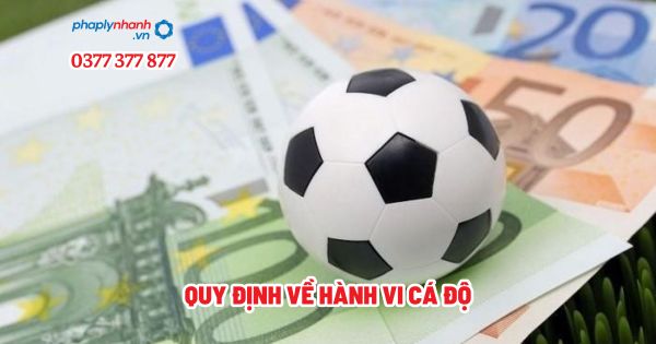 Quy định về hành vi cá độ? 1 Quy định về hành vi cá độ - Tư vấn, hỗ trợ pháp lý nhanh