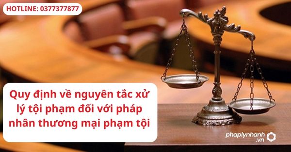 Quy định về nguyên tắc xử lý tội phạm đối với pháp nhân thương mại phạm tội 1 Quy định về nguyên tắc xử lý tội phạm đối với pháp nhân thương mại phạm tội