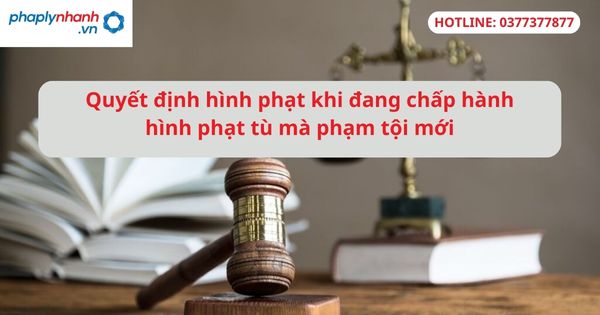 Quyết định hình phạt khi người phạm tội đang chấp hành hình phạt tù mà phạm tội mới 1 Quyết định hình phạt khi người phạm tội đang chấp hành hình phạt tù mà phạm tội mới