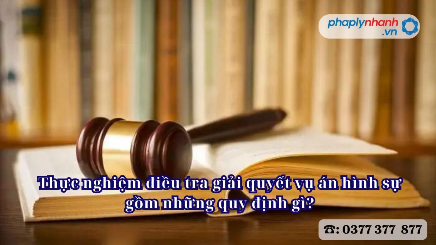 Thực nghiệm điều tra giải quyết vụ án hình sự gồm những quy định gì - Tư vấn, hỗ trợ pháp lý nhanh