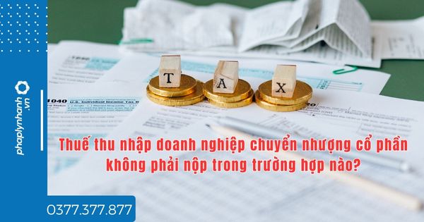 Thuế thu nhập doanh nghiệp chuyển nhượng cổ phần không phải nộp trong trường hợp nào? 1 Thuế thu nhập doanh nghiệp chuyển nhượng cổ phần không phải nộp trong trường hợp nào - tư vấn hỗ trợ pháp lý nhanh