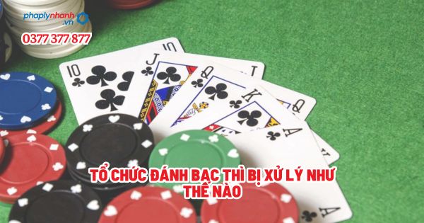 Tổ chức đánh bạc thì bị xử lý như thế nào - Tư vấn, hỗ trợ pháp lý nhanh