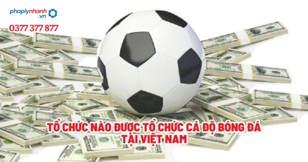 Tổ chức nào được tổ chức cá độ bóng đá tại Việt Nam? 1 Tổ chức nào được tổ chức cá độ bóng đá tại Việt Nam - Tư vấn, hỗ trợ pháp lý nhanh