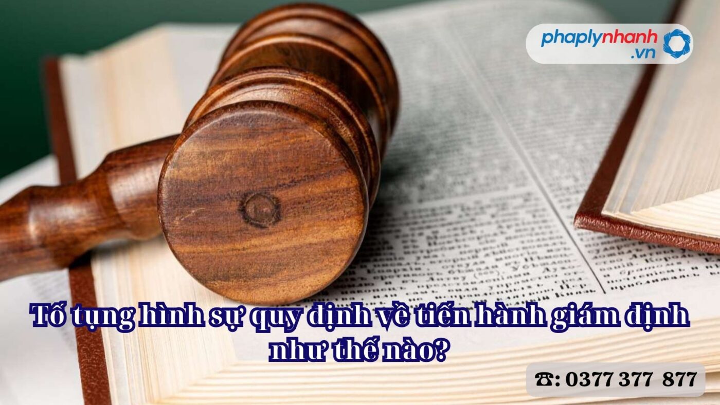 Tố tụng hình sự quy định về tiến hành giám định như thế nào? 4 Tố tụng hình sự quy định về tiến hành giám định như thế nào - Tư vấn, hỗ trợ pháp lý nhanh