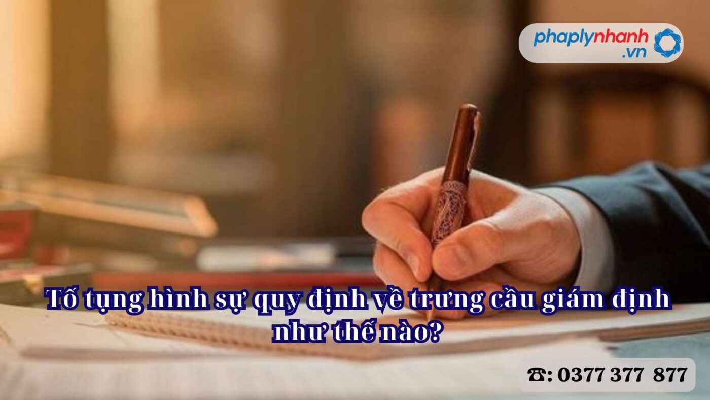 Tố tụng hình sự quy định về trưng cầu giám định như thế nào? 4 Tố tụng hình sự quy định về trưng cầu giám định như thế nào - Tư vấn, hỗ trợ pháp lý nhanh