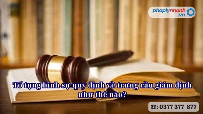 Tố tụng hình sự quy định về trưng cầu giám định như thế nào? 1 Tố tụng hình sự quy định về trưng cầu giám định như thế nào - Tư vấn, hỗ trợ pháp lý nhanh