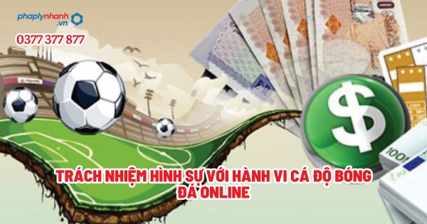 Trách nhiệm hình sự với hành vi cá độ bóng đá online - Tư vấn, hỗ trợ pháp lý nhanh