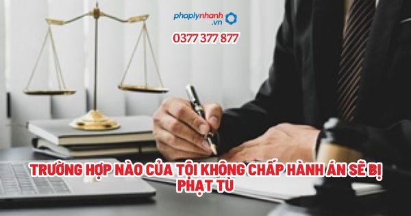 Trường hợp nào của Tội không chấp hành án sẽ bị phạt tù? 1 Trường hợp nào của Tội không chấp hành án sẽ bị phạt tù - Tư vấn, hỗ trợ pháp lý nhanh