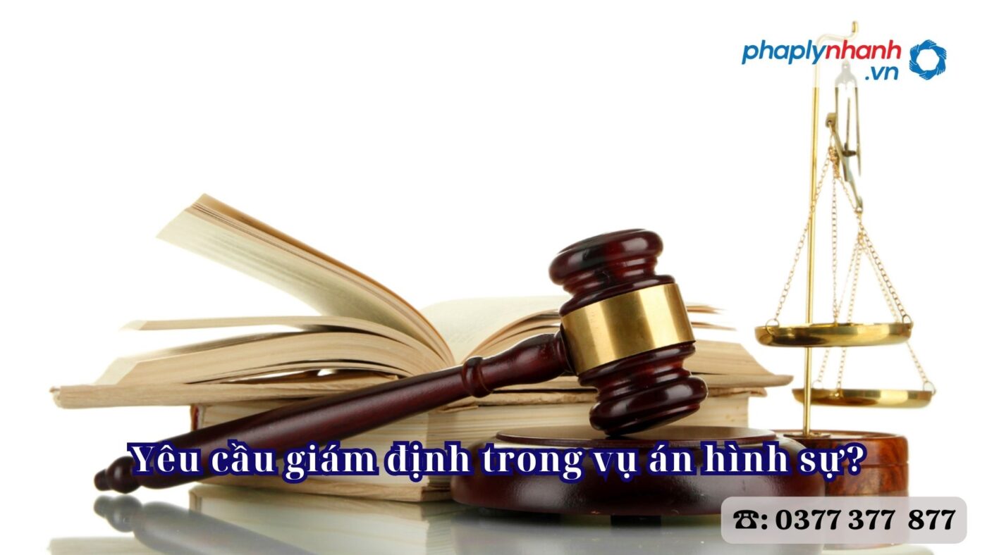 Yêu cầu giám định trong vụ án hình sự? 10 Yêu cầu giám định trong vụ án hình sự - Tư vấn, hỗ trợ pháp lý nhanh