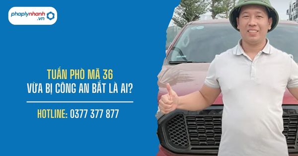 ‘Tuấn phò mã 36’ vừa bị công an bắt giữ là ai? 1 TUẤN PHÒ MÃ 36 VỪA BỊ CÔNG AN BẮT LÀ AI - PHAPLYNHANH.VN